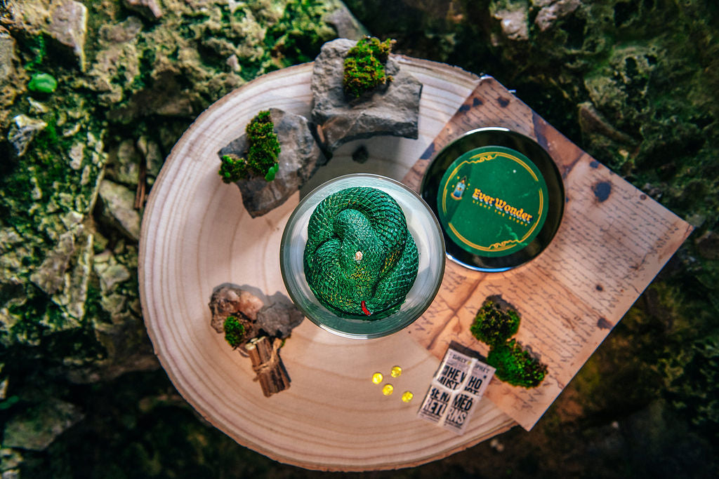 The Chamber Awakens serpent wax topper fantasy candle inspired by the school of magic